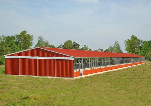 50×200 Horse Barns